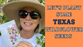 Planting Texas Wildflower Seeds Amaryllis check up amp Basil Harvest [upl. by Ynatterb]