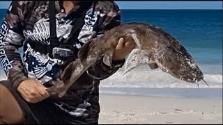 A 4wd trip up north to Lancelin for some more epic drone fishing [upl. by Notyep]