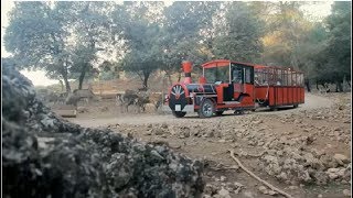 Sierra de Cazorla Tren Turístico por el Parque Cinegético Jaén [upl. by Kcinnay]