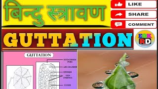 Guttation बिन्दु स्त्रावण Plant physiology topic [upl. by Regen564]