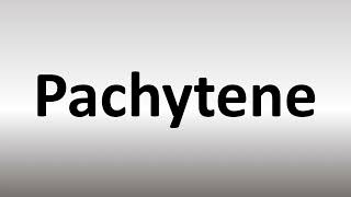 How to Pronounce Pachytene [upl. by Nnybor142]