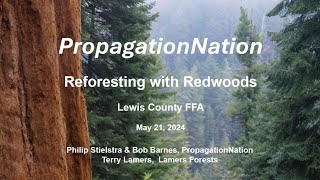 Reforesting with Redwoods by Philip Stielstra and Terry Lamers [upl. by Nuawed]