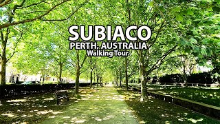 Walking Tour Suburb SUBIACO in Perth Australia Voted The Best Suburb to Live in Australia [upl. by Annuahs]