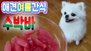 시원하게 수박바🍉 애견간식 만들어보았어요진짜 좋아해요  디바제니 강아지 유튜버 [upl. by Ibur847]