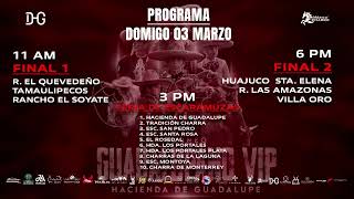 TORNEO GUADALUPANO VIP [upl. by Netty138]