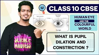 Working of Iris and Pupil  what is pupil dilation and constriction  Class 10 Science [upl. by Ader]