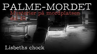 PALMEMORDET  Mysterier på mordplatsen 26 Lisbeths chock [upl. by Hajar]