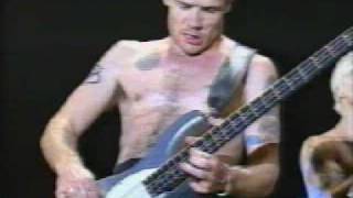 flea bass solo  live bizarre [upl. by Shaff122]