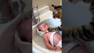 cat 🐈 bathing baby [upl. by Noillid]