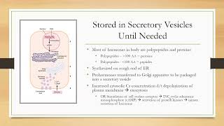 Endocrine Physiology NPLEX I Review 2023 [upl. by Aronoh]