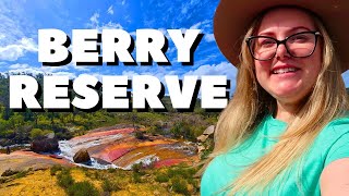 Perth Day Hikes at Berry Reserve with Fields of Wattle  Gidgegannup [upl. by Servetnick894]