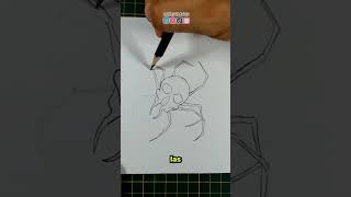 Cómo dibujar una Araña de la muerte 🕸💀 dibujo arte tutorial [upl. by Aipmylo]