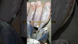 বাঁশপাতা মাছ। Bash pata fish  love fish beach fishfry fishing love roamwithsubrata music [upl. by Lexy]