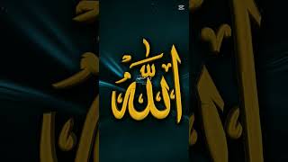 Islamic video islamicstatus islamicshorts islamicvideos [upl. by Masson]