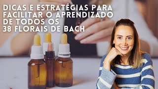 🌸 Como decorar e Aprender sobre as 38 Essências Florais de Bach [upl. by Vallery]