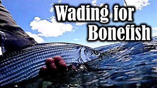 Wading for Bonefish on the Flats [upl. by Schlenger]