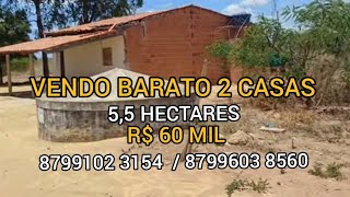 VENDO BOM E BARATO 60 MIL SUA GRANDE OPORTUNIDADE CHEGOU 8799102 3154 8799603 8560 [upl. by Nais]