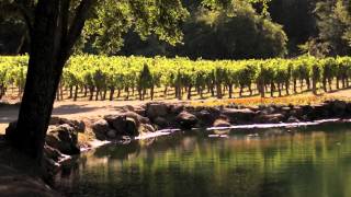 Napa Valley Rocks  FULL PRESENTATION 2026 [upl. by Iva]