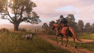 reddeadredemption2 gameplay  MOD SOBREVIVENCIA [upl. by Aneema279]