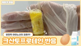 하또실 크산토프로테인 반응Xanthoproteic test 방향족 아미노산의 검출 단백질 검출 실험 [upl. by Strohben]