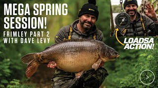 Spring Carp Fishing on Frimley with Dave Levy [upl. by Esinehc487]