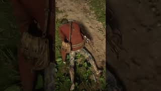 The Most Dangerous Spot on the Entire RDR2 Map shorts rdr2 reddeadredemption gaming [upl. by Ilka569]