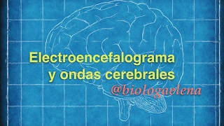 Electroencefalograma y ondas cerebrales [upl. by Ahsilat]