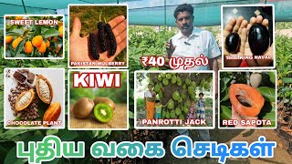 ₹40 ரூபாய் முதலில் எல்லாவித புதிய வகை செடிகளும் கிடைக்கும் PART 1 agriculture nurserygarden [upl. by Averill99]