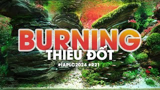 Aquascaping steps  Burning  IAPLC 2024 Honor Prize Rank 21 ENG SUB [upl. by Ribak]