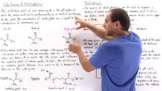 Isoelectric Point and Electrophoresis [upl. by Filbert]