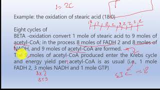 Beta Oxidation of Oleic acidCalculation of ATP [upl. by Chilcote]