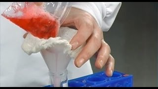 Strawberry DNA Extraction [upl. by Aleirbag]