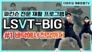 LSVTBIG 1 파킨슨 재활운동 프로그램 바닥에서 천장까지 [upl. by Yantruoc825]