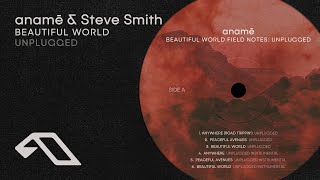 anamē amp Steve Smith  Beautiful World Unplugged [upl. by Nysa]