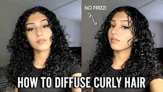 HOW TO DIFFUSE CURLY HAIR  No Frizz amp Quick for Beginners [upl. by Aruam]