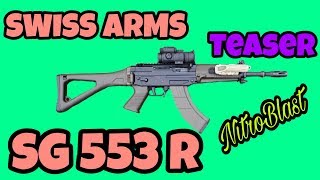 Swiss Arms SG 553 R [upl. by Dloraj]