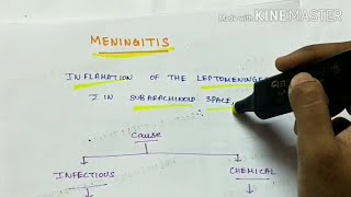 Meningitis  Pathology  Handwritten notes [upl. by Sansone]