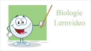 Diffusion amp Osmose  Biologie Lernvideo [upl. by Forsta]