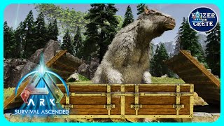 ASA Megatherium Trap  How to Build a Megatherium Trap  ARK Survival Ascended [upl. by Mariken]