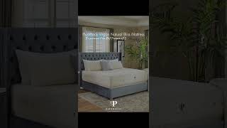 PlushBeds Vegan Natural Bliss Mattress  The Finest in EcoLuxury [upl. by Tirrag]