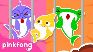 Baby Sharks Friends Are Trapped  Baby Shark Kindergarten  Solve the Puzzle  Pinkfong Kids Songs [upl. by Saied]