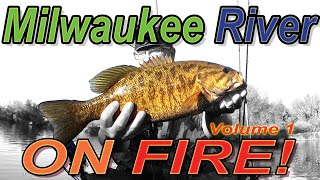 Tanks and Dinks  Milwaukee River Smallmouth Bass BFS Fishing [upl. by Inus]