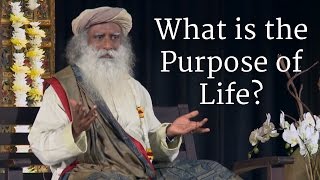 What is the Purpose of Life  Sadhguru [upl. by Poppy]