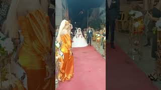 Roman Düğünleri düğün wedding dance shorts halay tiktok keşfet trend dabke دبكة [upl. by Adlesirg]