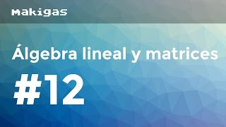 Álgebra lineal y matrices – 12 Matriz inversa con determinantes [upl. by Karlin659]