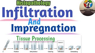 Infiltration And Impregnation in Hindi ll Tissue Processing ll Histopathology [upl. by Nytsirc470]