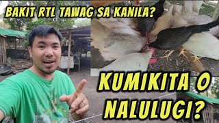 Kumikita o nalulugi ba sa pag alaga ng manok [upl. by Yrek]