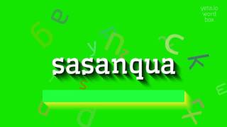 How to say quotsasanquaquot High Quality Voices [upl. by Eniloj]