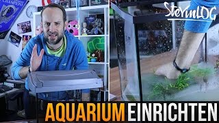 Aquarium einrichten SteVinLOG 7 [upl. by Shae855]