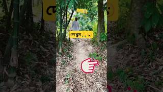 একটা শেয়ার করেন ভাই😰🙏😮allah viralvideo trending [upl. by Aggappora]